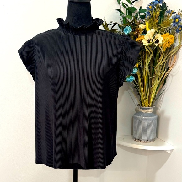 Zara Black Pleated Top | Size Small (Runs Larger) | Elegant & Versatile - Picture 1 of 8
